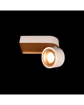 10324/A Gold White Накладной светильник LOFT IT Knof-foto2