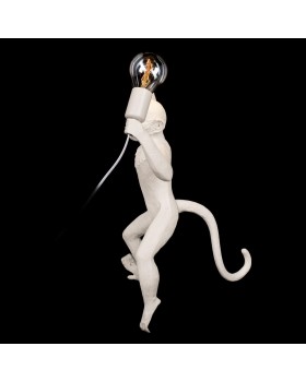 10314W/B Настенный светильник LOFT IT Monkey-foto4