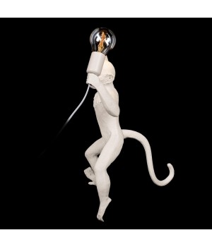 10314W/B Настенный светильник LOFT IT Monkey-foto4