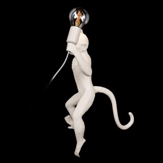 10314W/B Настенный светильник LOFT IT Monkey-foto4