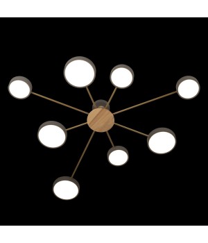 10316/8 Grey Потолочный светильник LOFT IT Sunrise-foto4