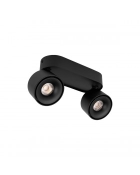 10323/2A Black Накладной светильник LOFT IT Focus