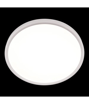 10227/40 White Потолочный светильник LOFT IT Extraslim-foto6