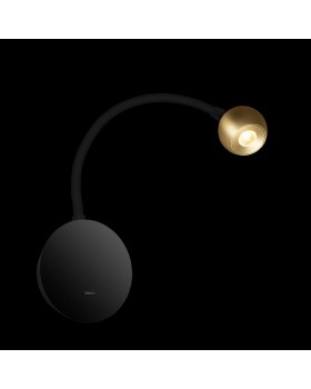 10254 Brass Настенный светильник LOFT IT Point-foto2