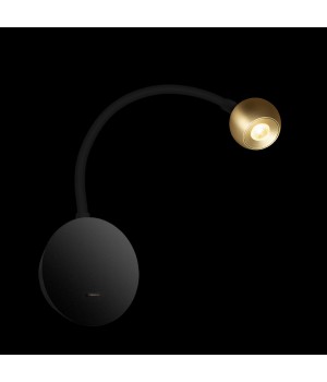 10254 Brass Настенный светильник LOFT IT Point-foto2