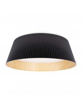 10224 Black Потолочный светильник LOFT IT Evans
