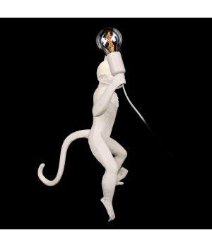 10314W/A Настенный светильник LOFT IT Monkey-foto4