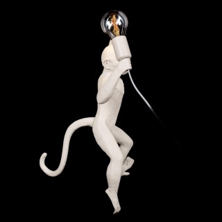 10314W/A Настенный светильник LOFT IT Monkey-foto4