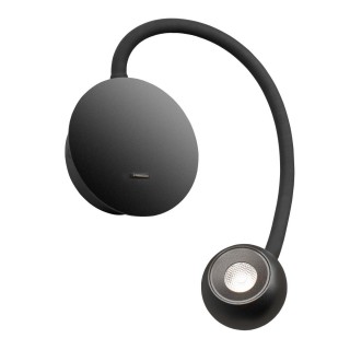 10254 Black Настенный светильник LOFT IT Point-foto7