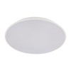 10226 White Потолочный светильник LOFT IT Brim