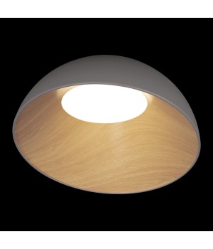 10197/500 Grey Потолочный светильник LOFT IT Egg-foto2