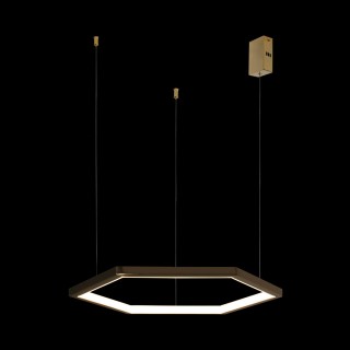 10016S Подвесной светильник LOFT IT Ring-foto3