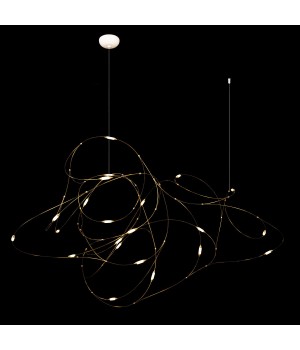 10309/21 Подвесной светильник LOFT IT Flock of Light-foto2