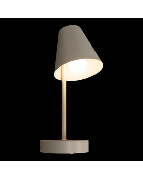 10216/1W White Настенный светильник LOFT IT Shelf-foto4