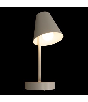 10216/1W White Настенный светильник LOFT IT Shelf-foto4