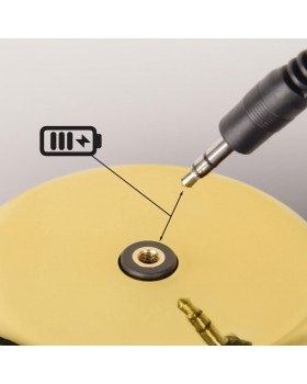 10233/E Gold Настольная лампа LOFT IT Brothers-foto9