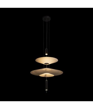 10244/B Black Подвесной светильник LOFT IT Skylar-foto4