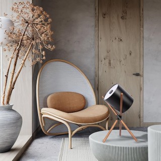 10245T Black Настольная лампа LOFT IT Bobbin-foto5