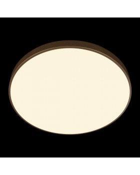 10228/B Потолочный светильник LOFT IT Flims-foto6