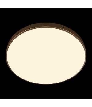 10228/B Потолочный светильник LOFT IT Flims-foto6