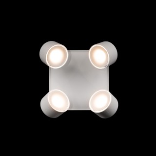 10326 White Накладной светильник LOFT IT Case-foto4