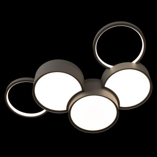 10317/5 Grey Потолочный светильник LOFT IT Pin-foto4