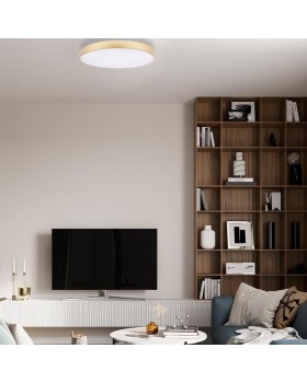 10228/B Потолочный светильник LOFT IT Flims-foto7