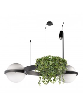 10121/2 Dark grey Подвесной светильник LOFT IT Jardin-foto3