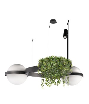 10121/2 Dark grey Подвесной светильник LOFT IT Jardin-foto3