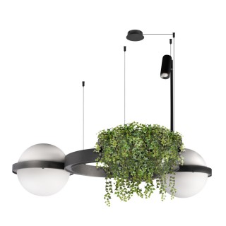 10121/2 Dark grey Подвесной светильник LOFT IT Jardin-foto3