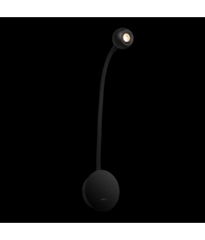 10254 Black Настенный светильник LOFT IT Point-foto4