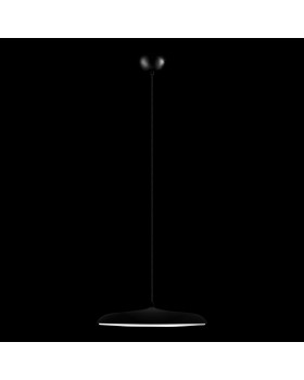 10119 Black Подвесной светильник LOFT IT Plato-foto2