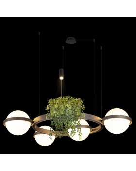 10121/4 Dark grey Подвесной светильник LOFT IT Jardin-foto4