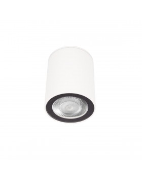 10344 White Накладной светильник LOFT IT Rush