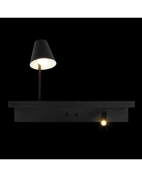 10216/2W Black Настенный светильник LOFT IT Shelf-foto4