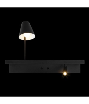 10216/2W Black Настенный светильник LOFT IT Shelf-foto4
