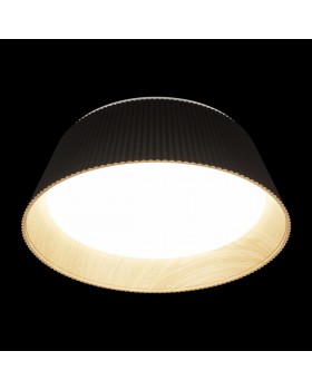 10224 Black Потолочный светильник LOFT IT Evans-foto4