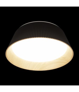 10224 Black Потолочный светильник LOFT IT Evans-foto4