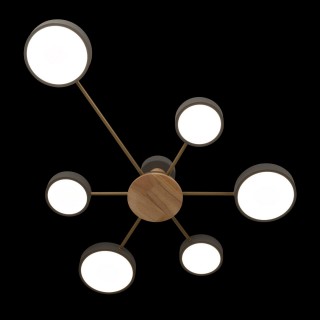 10316/6 Grey Потолочный светильник LOFT IT Sunrise-foto4