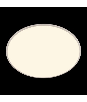 10226 White Потолочный светильник LOFT IT Brim-foto6