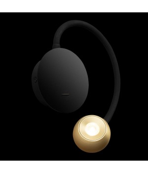 10254 Brass Настенный светильник LOFT IT Point-foto8