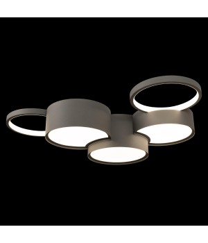 10317/5 Grey Потолочный светильник LOFT IT Pin-foto2