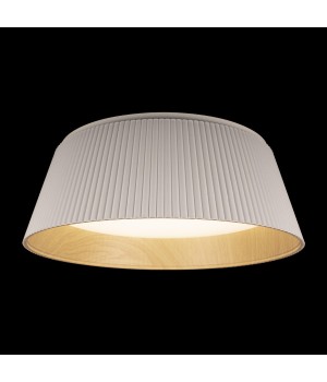 10224 White Потолочный светильник LOFT IT Evans-foto2