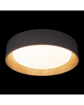 10202 Grey Потолочный светильник LOFT IT Coin-foto2