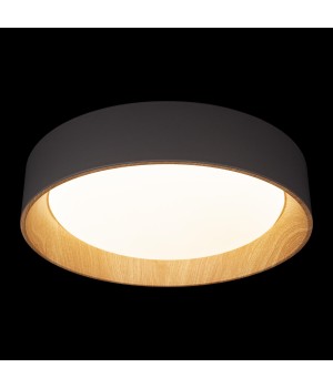 10202 Grey Потолочный светильник LOFT IT Coin-foto2