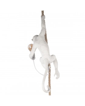 10314P Подвесной светильник LOFT IT Monkey-foto7