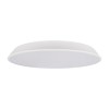 10226 White Потолочный светильник LOFT IT Brim