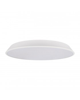 10226 White Потолочный светильник LOFT IT Brim