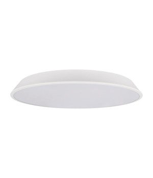 10226 White Потолочный светильник LOFT IT Brim