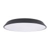 10226 Black Потолочный светильник LOFT IT Brim